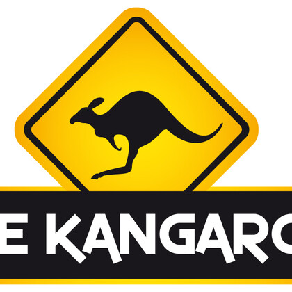 The Kangaroos (covers) recherchent une choriste / chanteuse