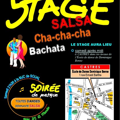 STAGE DE SALSA CUBAINE, CHA CHA CHA et BACHATA 