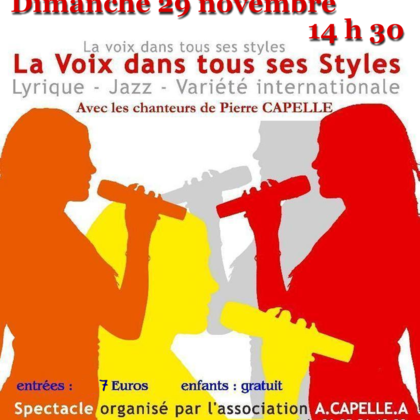 Ténor de l'opéra de lyon donne cours de chant, lyrique, jazz, variété internationale