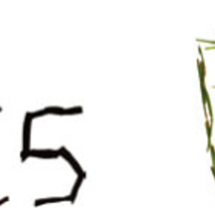 L'Annexe pour les petits spectateurs 2011-2012