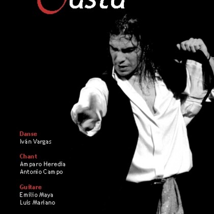 Spectacle de flamenco - de casta