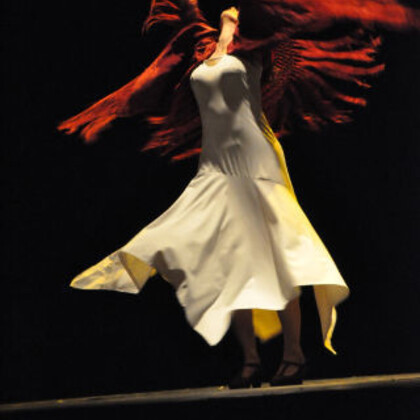 Compagnie Imaginaflamenco