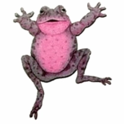 association Frog Prog