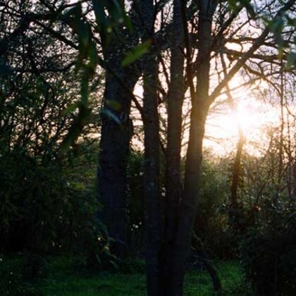 Fantaisies au jardin