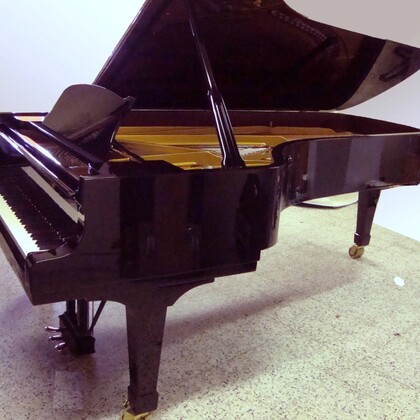 Vends piano de concert Steinway & Sons Mod. D 2m74