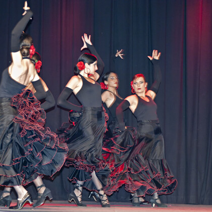 Association Viens Danser IDRON cours de Sevillane et de Danse Orientale Tribale