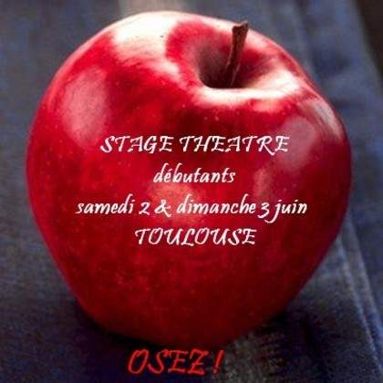 stage de théâtre débutant à toulouse 2 & 3 juin