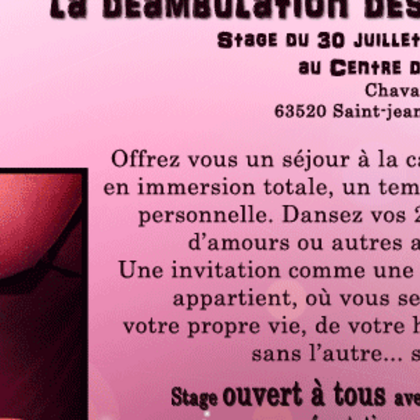 Stage de Danse Lily falgoux Collectif Dynamo