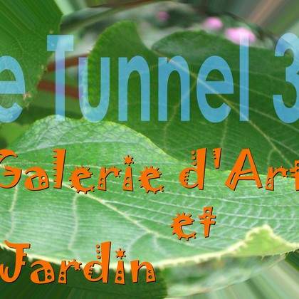 Galerie d'art le tunnel