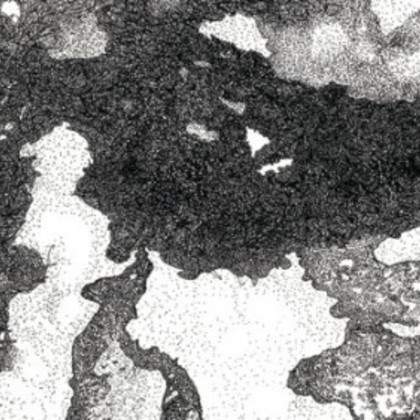 Expo Micromundi