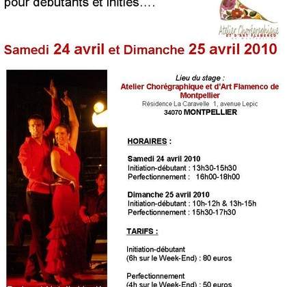  24 & 25 avril 2010 - STAGE DE SEVILLANAS à Montpellier (34)