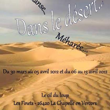 Stage de danse sur les RRR dans le désert