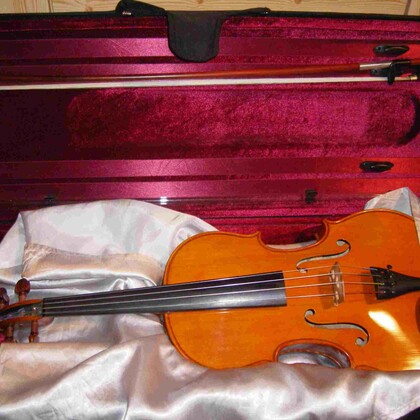 Vends alto avec archet et étui