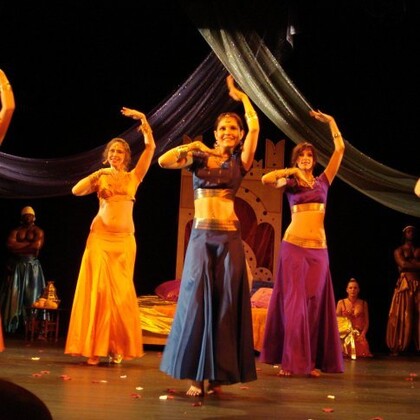 La Troupe METISSE