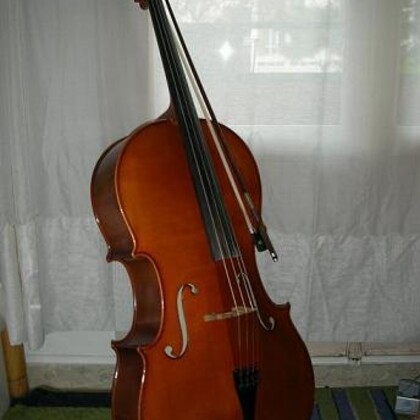 Vends violoncelle PAESOLD 4/4