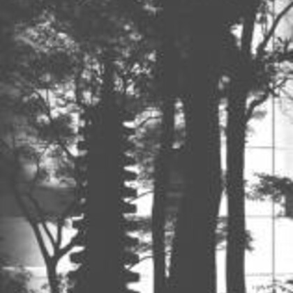 Stage d’été VOIX du CORPS dans la forêt (20-23 juillet)