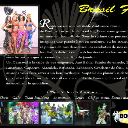 Brasil Fever
