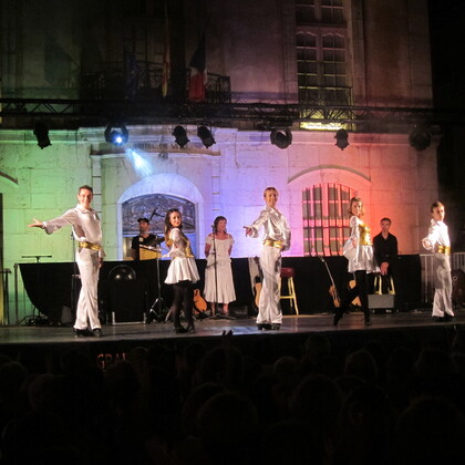Recherche 3 musiciens pour nouveau spectacle musiques et danses irlandaises
