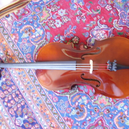 violoncelle 1/4 à vendre 350€