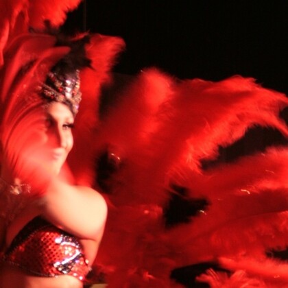 Costumier (plumes et strass)