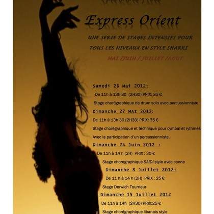 FORMATION ET STAGE D'ETE EN DANSE ORIENTALE