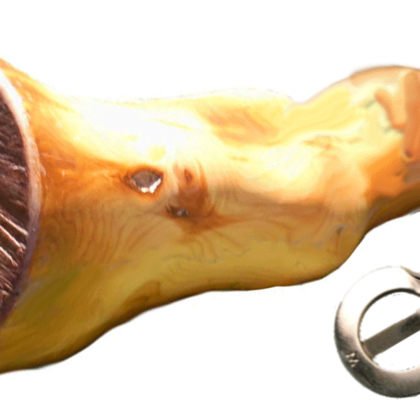 Association Armonigene