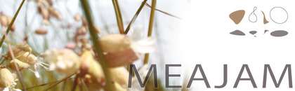 MEAJAM