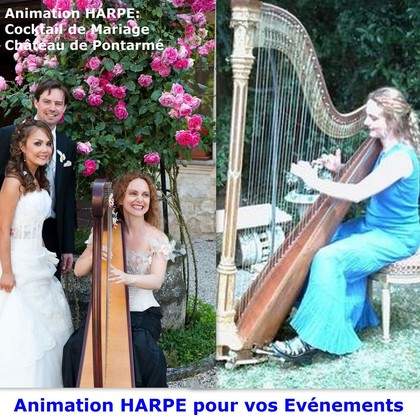 Animation HARPE pour vos ÉVÉNEMENTS sur Versailles (78) - Paris (75)