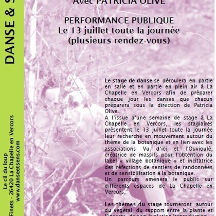Stage d'été - Danse & Sens