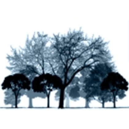 Graphisme web print et autre