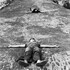 194614
