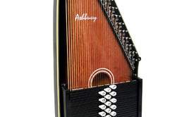 Michel Lelong - Cours en présentiels ou à distance et stage d'autoharp