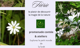 Frann - anniversaires enfants en forêt