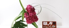 Ikebana Azalée - Cours d’art floral Ikebana 
